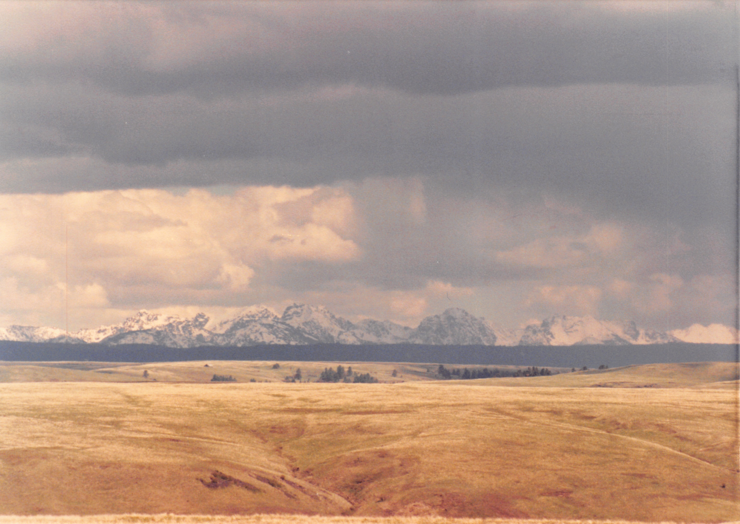 1985_Part 2_01_053.jpg